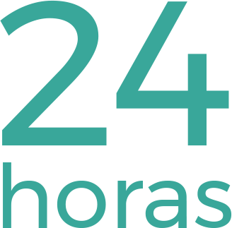 Icono 1